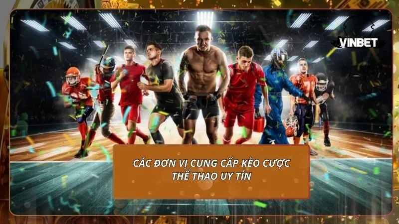 Các đơn vị cung cấp kèo cược thể thao uy tín