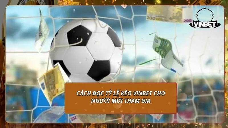 Cách đọc tỷ lệ kèo VINBET cho người mới tham gia