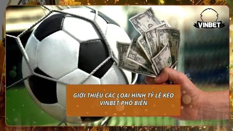 Giới thiệu các loại hình tỷ lệ kèo VINBET phổ biến