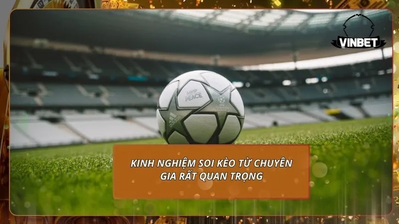 Kinh nghiệm soi kèo VINBET từ chuyên gia rất quan trọng