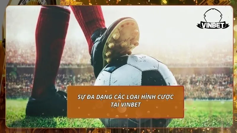 Sự đa dạng các loại hình cược tại VINBET
